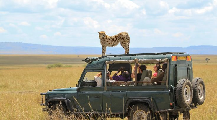 Central Kenya Explorer